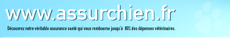 ASSURCHIEN.fr | Découvrez notre véritable assurance santé qui vous rembourse jusqu'à 80% des dépenses vétérinaires 